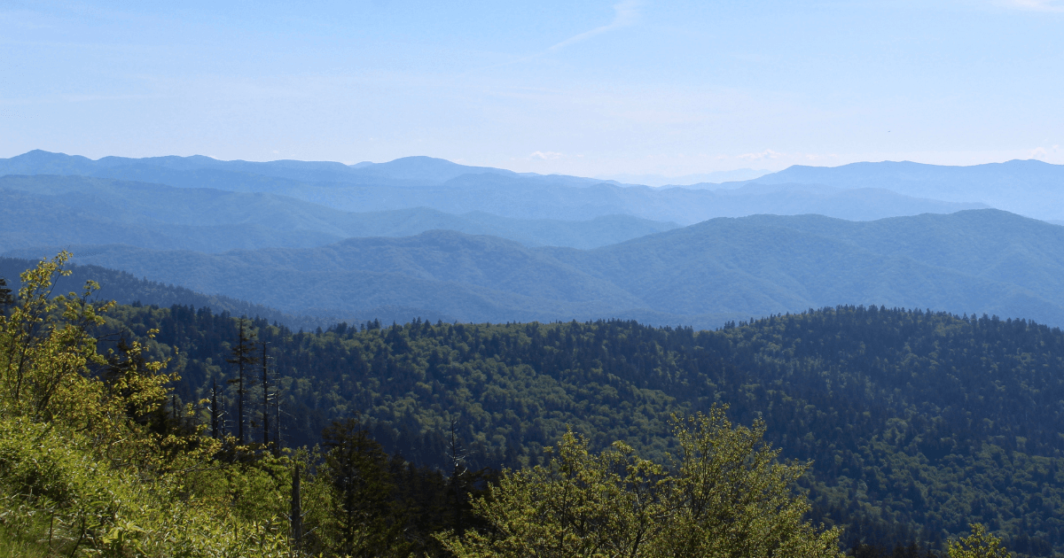 North Carolina Mountains